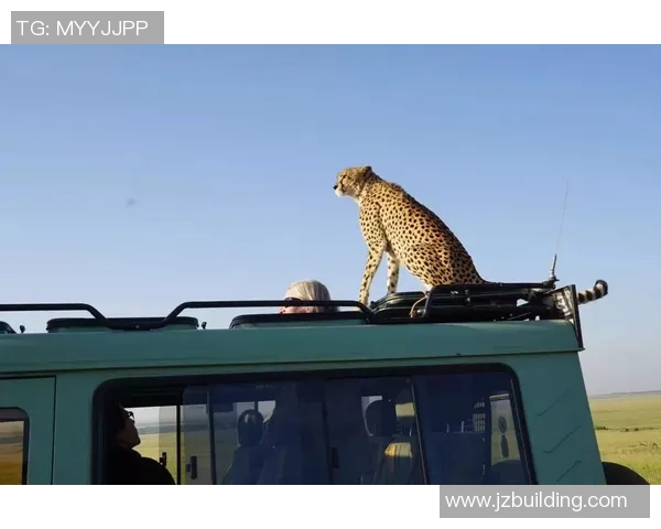 成都极限运动队的战术解析与盯防体系的创新探索